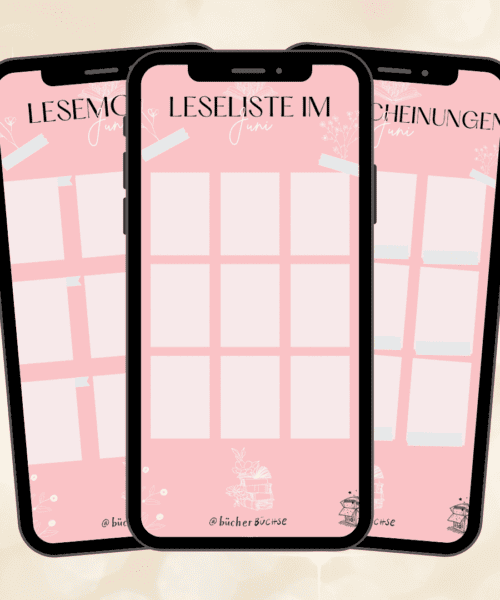 Story_Templates_Juni_Visual_rosa