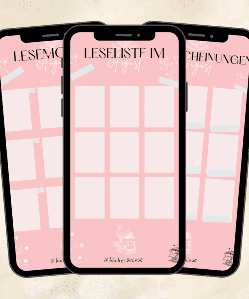 2023-08-Story Templates Visuals-komprimiert-Rosa