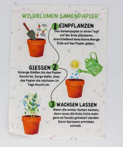 JB_Juni_Samenpapier 2