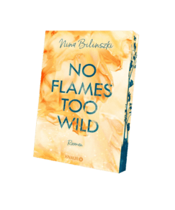 no-flames-mockup