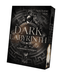 2025-04-Dark Labyrinth-Mockup-FS.png