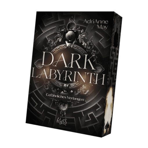 2025-04-Dark Labyrinth-Mockup-FS.png