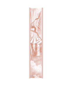 2025-01-A Million Stars-Farbschnitt-Mockup.png