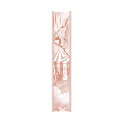 2025-01-A Million Stars-Farbschnitt-Mockup.png