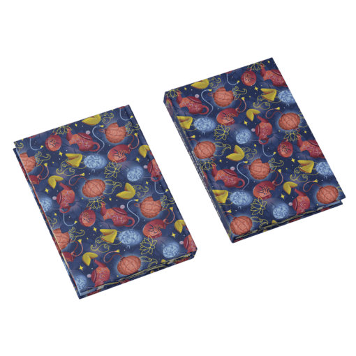 2025-04-Die Wahrsagerin kleiner Schicksale-Mockup Bezug.png
