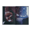 2025-05-The Wren in the Holly Libary-Mockup NS.png