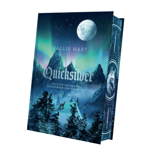 2025-06-Quicksilver-Mockup Bezug.png