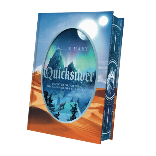 2025-06-Quicksilver-Mockup SU Innen.png