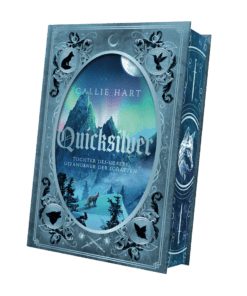 2025-06-Quicksilver-Mockup SU außen.png