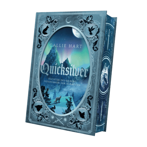 2025-06-Quicksilver-Mockup SU außen.png