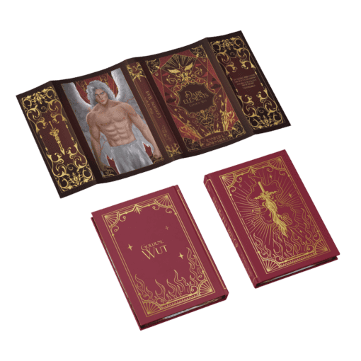 2025-03-Dark Elements Band 5-Mockup Ausstattung.png