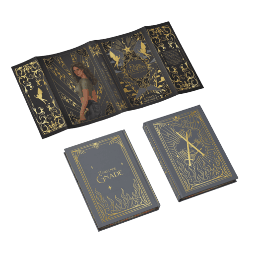 2025-03-Dark Elements Band 6-Mockup Ausstattung.png