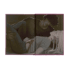 2025-03-Dark Elements Band 2-Mockup NS.png