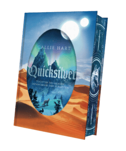 2025-06-Quicksilver-Mockup SU Innen KORR.png