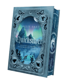 2025-06-Quicksilver-Mockup SU außen mit Farbschnitt KORR.png