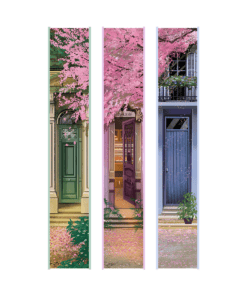 2025-08-The Story Binding Us-Mockup nur Farbschnitt 1 bis 3.png