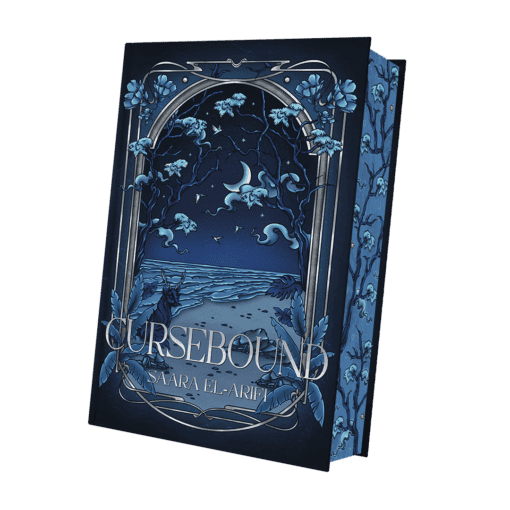 2025-05-Faebound-Mockup SU BB.png