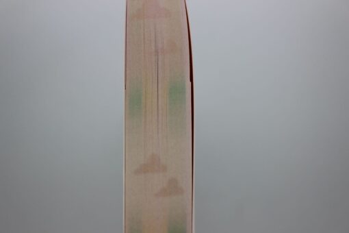 New horizon FME 1 2025-07.JPG