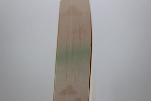 New horizon FME 2 2025-07.JPG