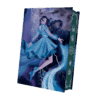 2025-08-Heir of Storms-Mockup Bezug.png