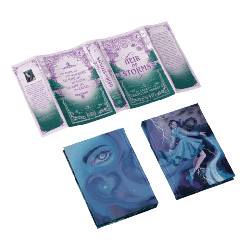 2025-08-Heir of Storms-Mockup SU und Bezug.png