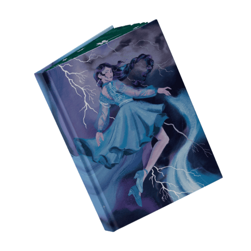 Random House_Sonderausgabe MIT Umschlag Mockup Bezug offen.png