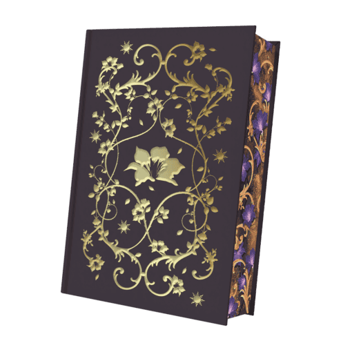 2025-10-The South Wind-Mockup Bezug.png