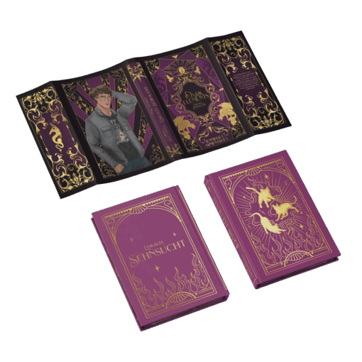 2025-03-Dark Elements Band 2-Mockup Ausstattung.png