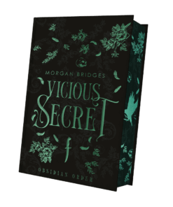 2025-09-Vicious Secret-Mockup.png