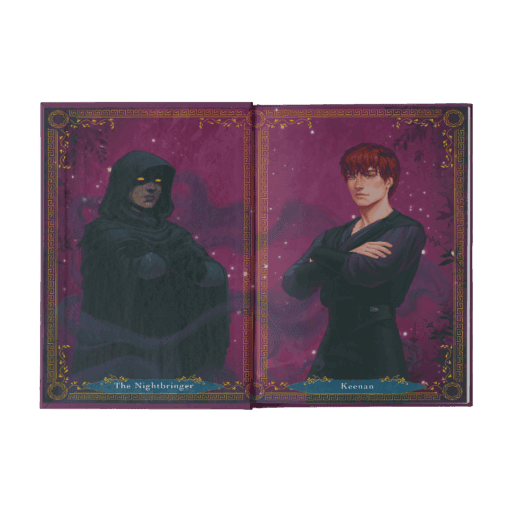 A Sky Beyond the Storm Mockup Austattung VS.png