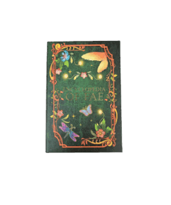 ZB Advent Buchbox Bild 1.png