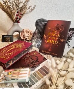 ZB_2025_12_Dezember_Box Inhalt_lenas_leselounge.jpg