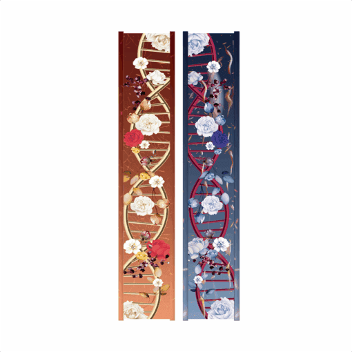 Anatomy of a broken Promises Mockup Farbschnitt.png