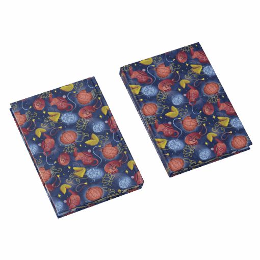 2025-04-Die Wahrsagerin kleiner Schicksale-Mockup Bezug.png