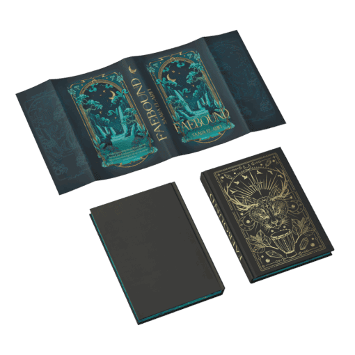 2025-05-Faebound-Mockup SU und Bezug.png