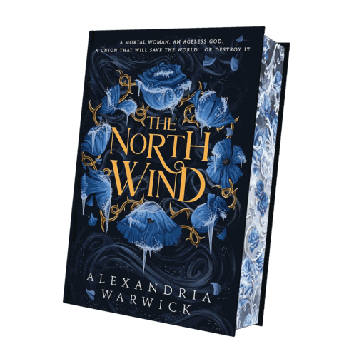 2025-02-The North Wind-Mockup Verlags SU und Farbschnitt.png