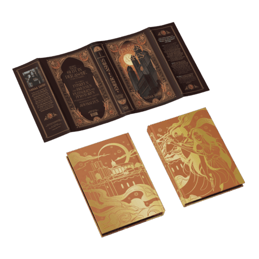 2025-04-An Amber in the Ashes-Mockup SU und Bezug.png