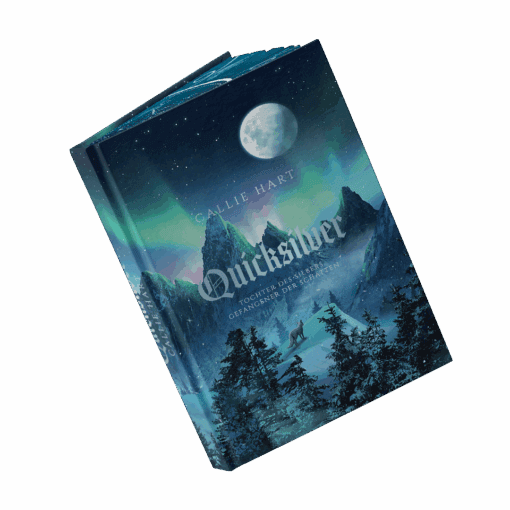 2025-06-Quicksilver-Mockup offen Bezug .png