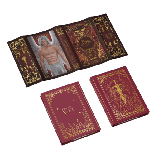 2025-03-Dark Elements Band 5-Mockup Ausstattung.png