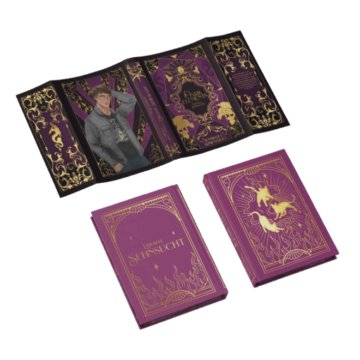 2025-03-Dark Elements Band 2-Mockup Ausstattung.png