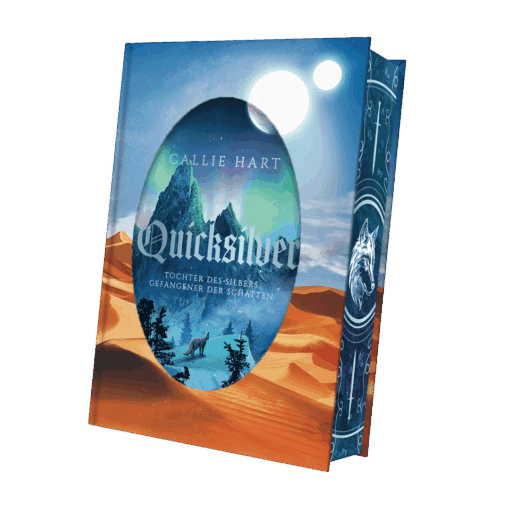 2025-06-Quicksilver-Mockup SU Innen KORR.png