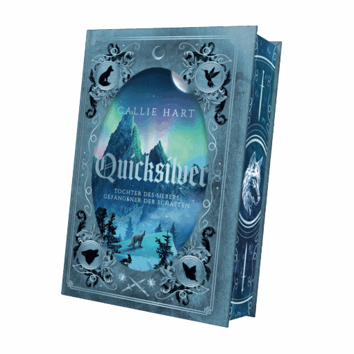 2025-06-Quicksilver-Mockup SU außen mit Farbschnitt KORR.png