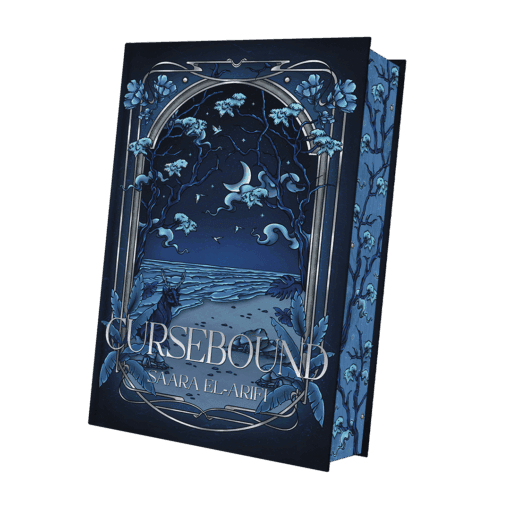 2025-05-Faebound-Mockup SU BB.png