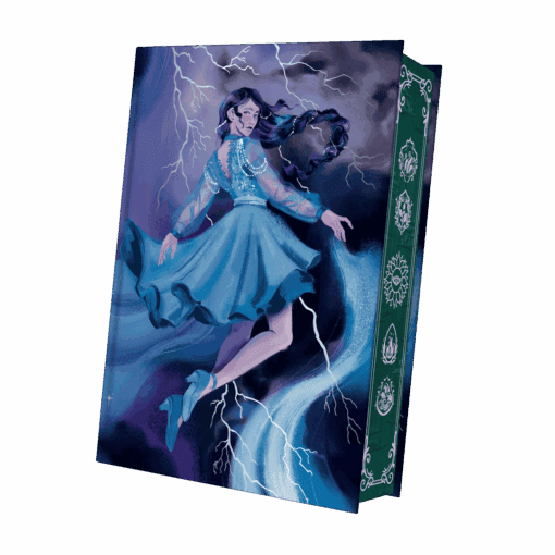 2025-08-Heir of Storms-Mockup Bezug.png