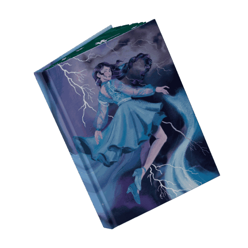 Random House_Sonderausgabe MIT Umschlag Mockup Bezug offen.png