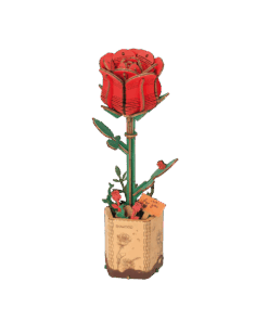 LB Advent Rose Mockup.png