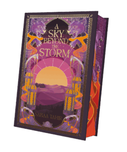 A Sky Beyond the Storm Mockup SU Außen.png