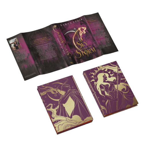 A Sky Beyond the Storm Mockup Austattung SU Innen.png