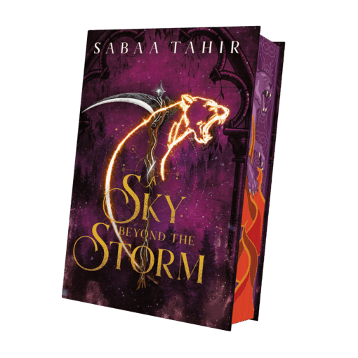 A Sky Beyond the Storm Mockup SU Innen.png