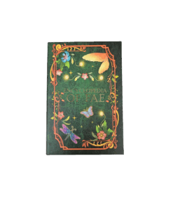 ZB Advent Buchbox Bild 1.png